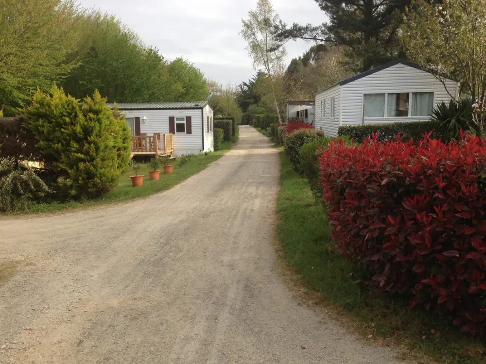 Le Port d'Auray (Les Pommiers)