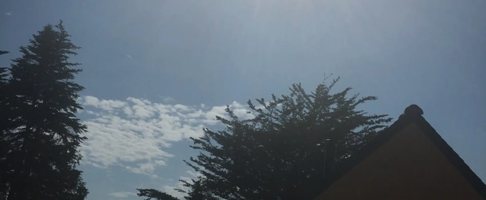 Le Port d'Auray (Les Pommiers)