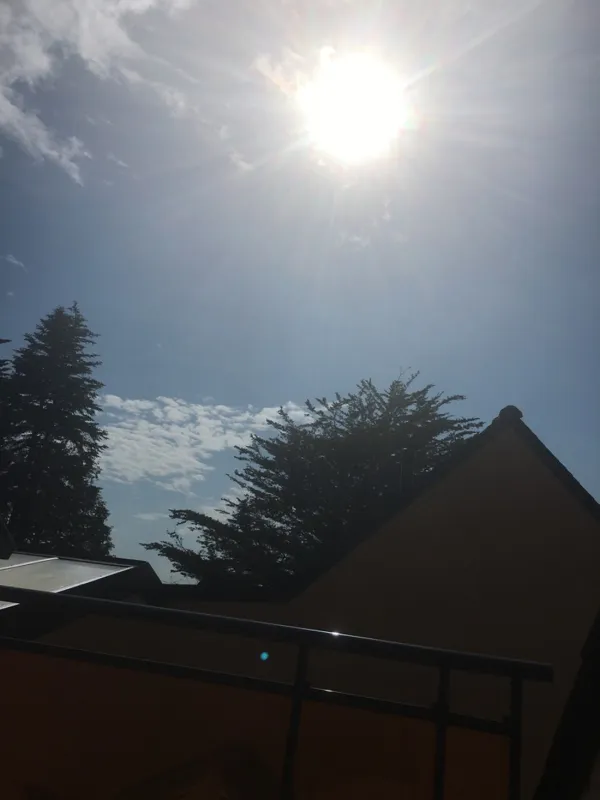 Le Port d'Auray (Les Pommiers)