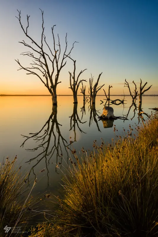 Lake Bonney Campground