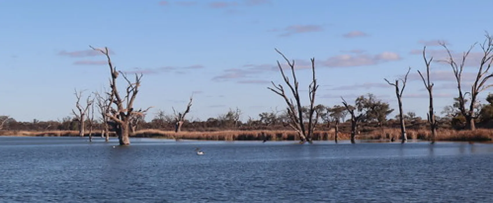 Lake Bonney Campground