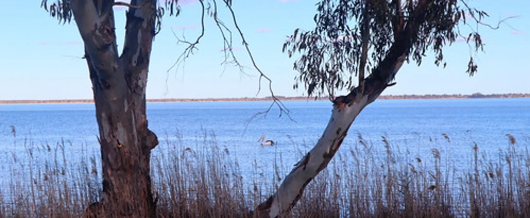 Lake Bonney Campground