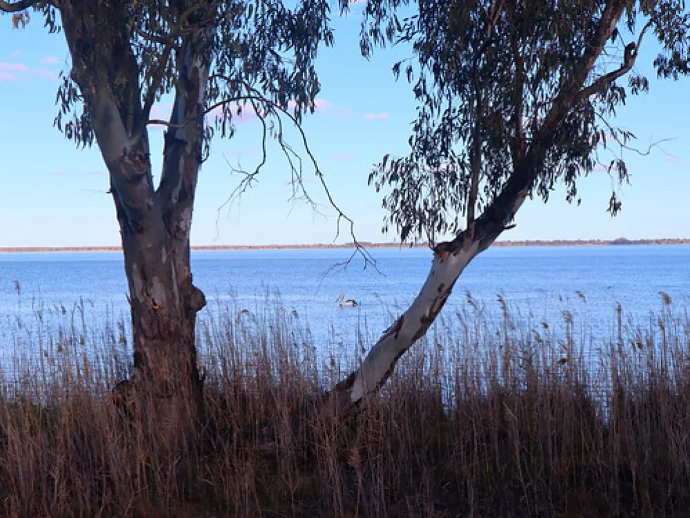 Lake Bonney Campground