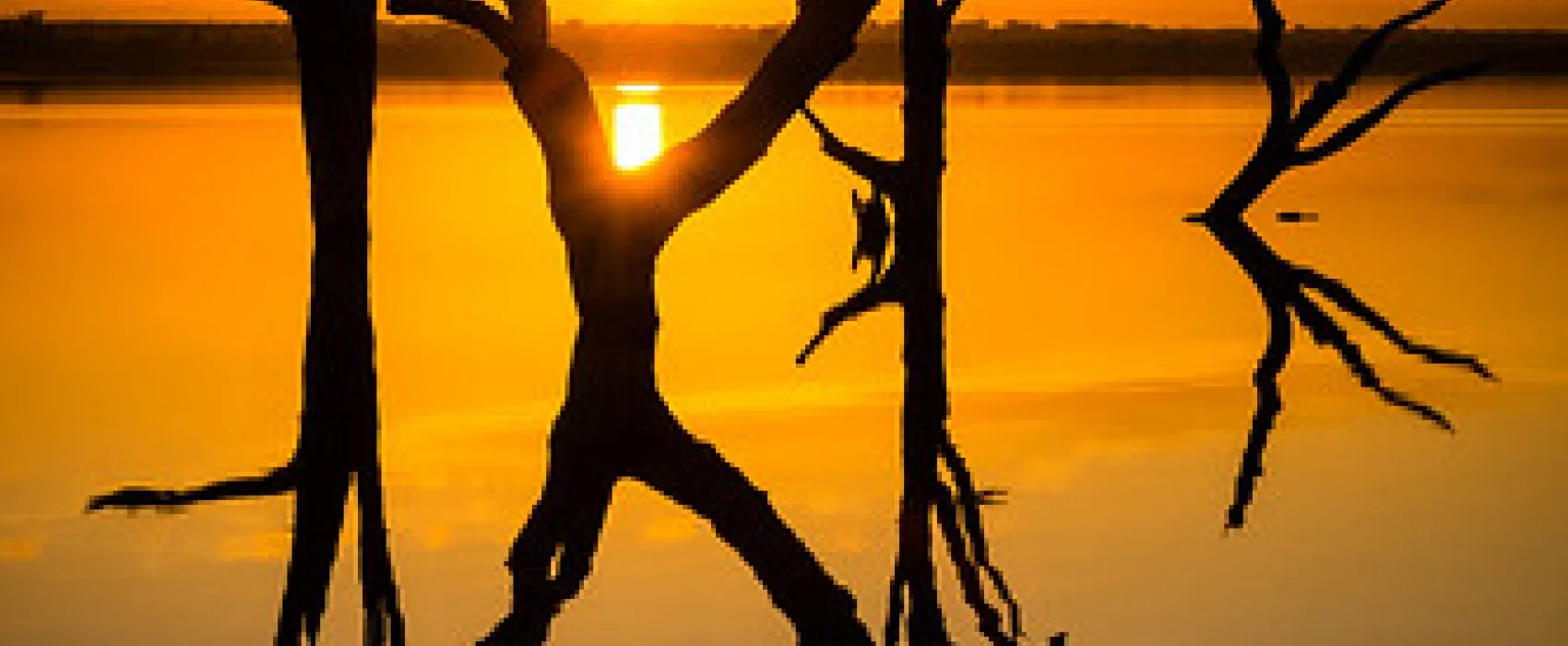 Lake Bonney Campground