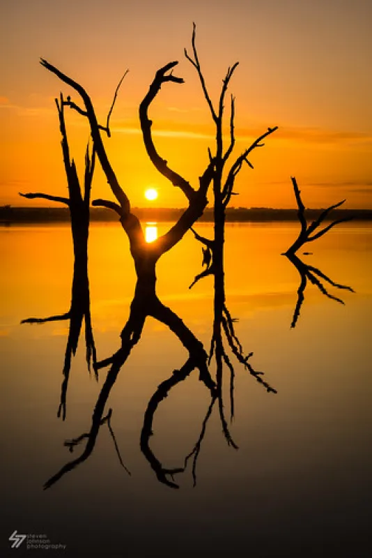 Lake Bonney Campground
