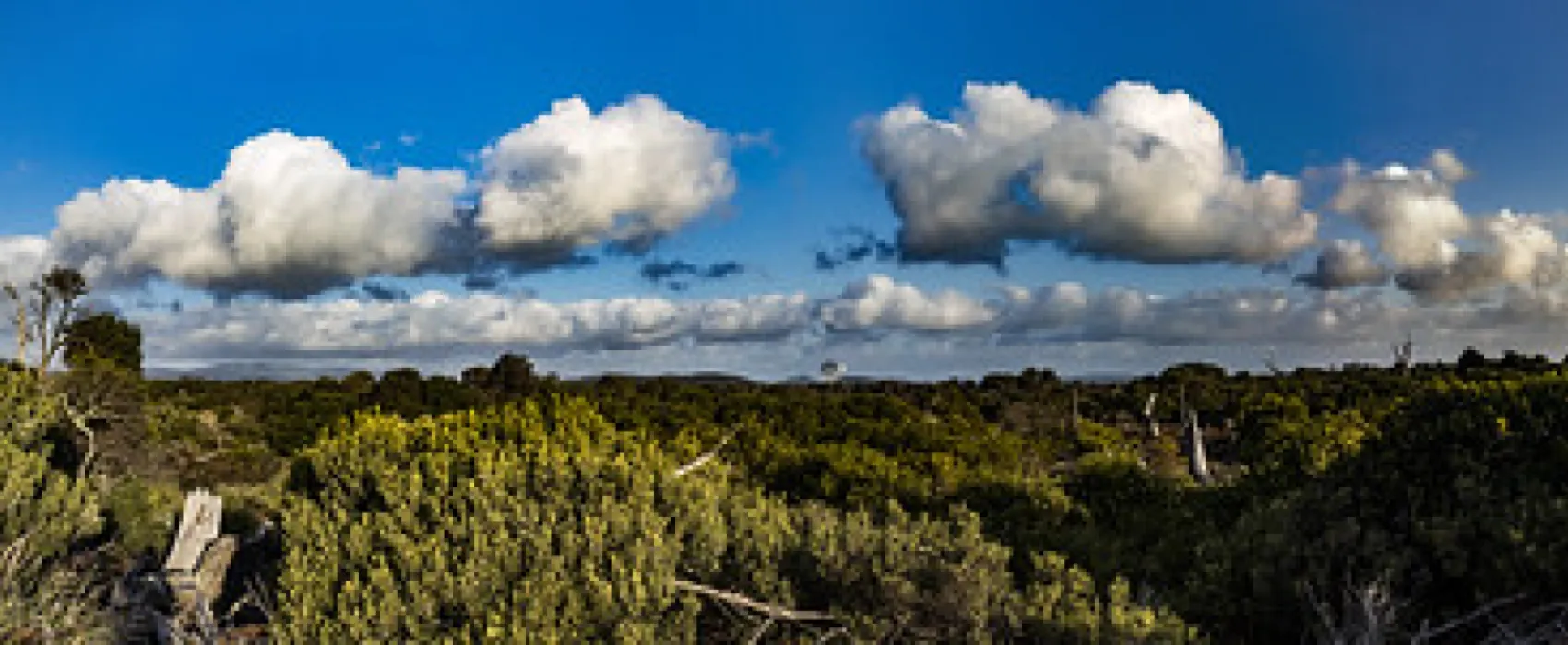 Narwantapu National Park Campground