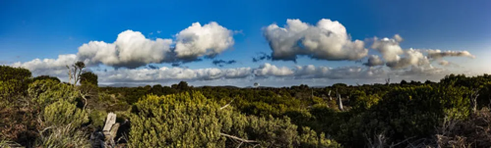 Narwantapu National Park Campground