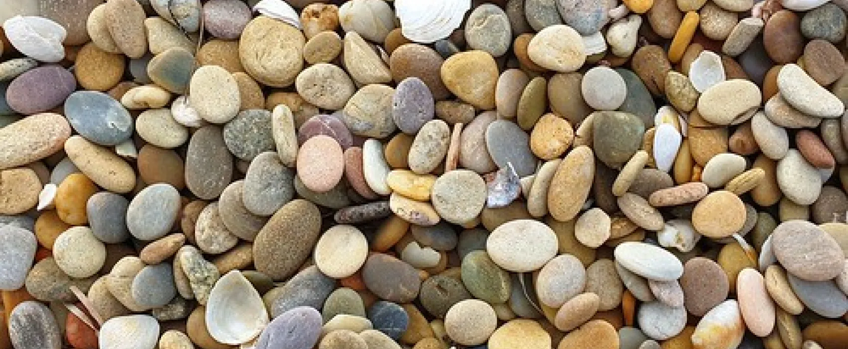 Narwantapu National Park Campground