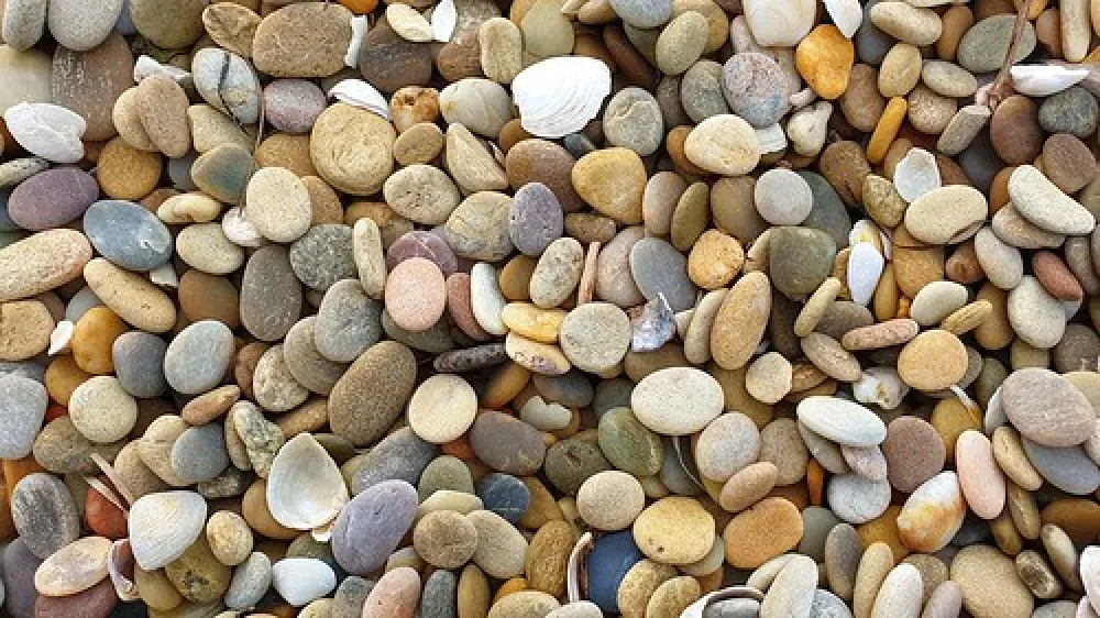 Narwantapu National Park Campground