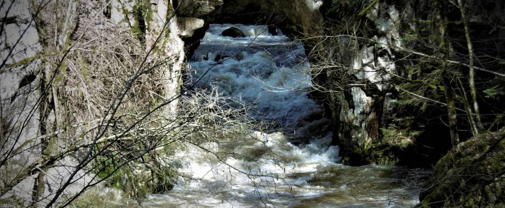 Schlüchttal Naturcamping