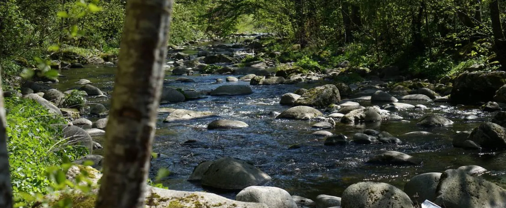 Schlüchttal Naturcamping