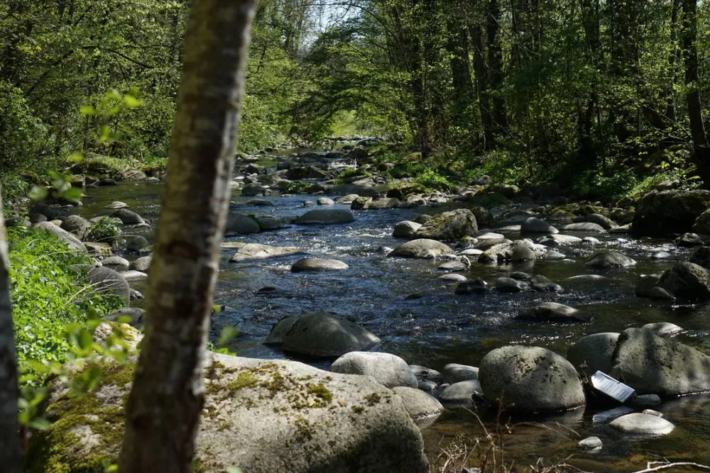 Schlüchttal Naturcamping
