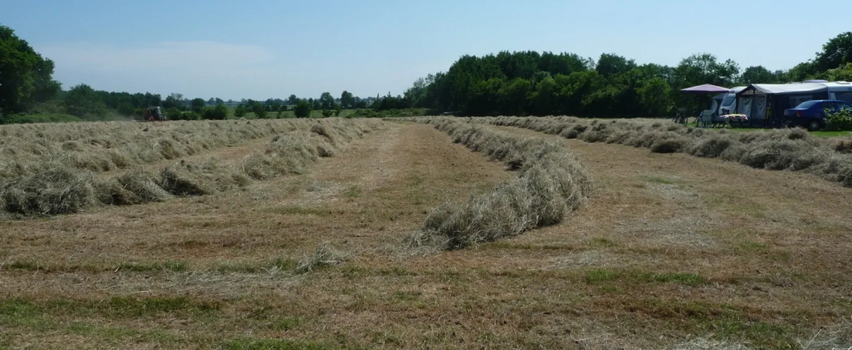 Natuurdomein de Landerije