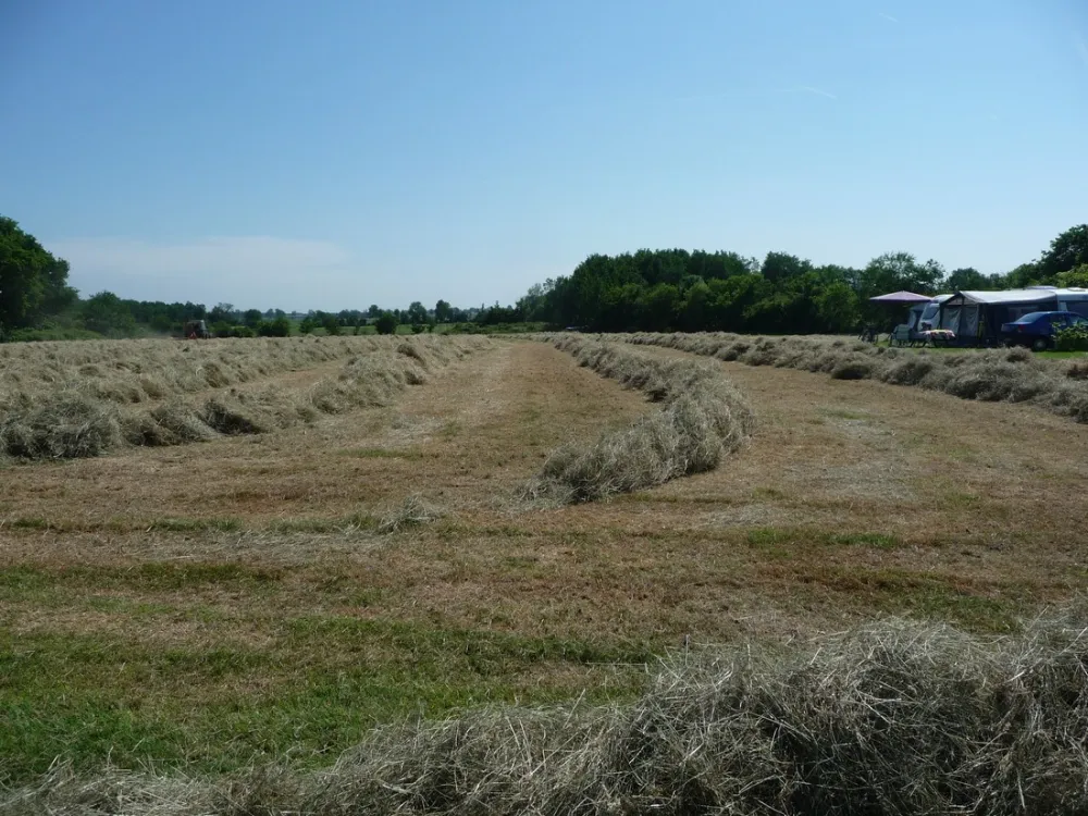 Natuurdomein de Landerije