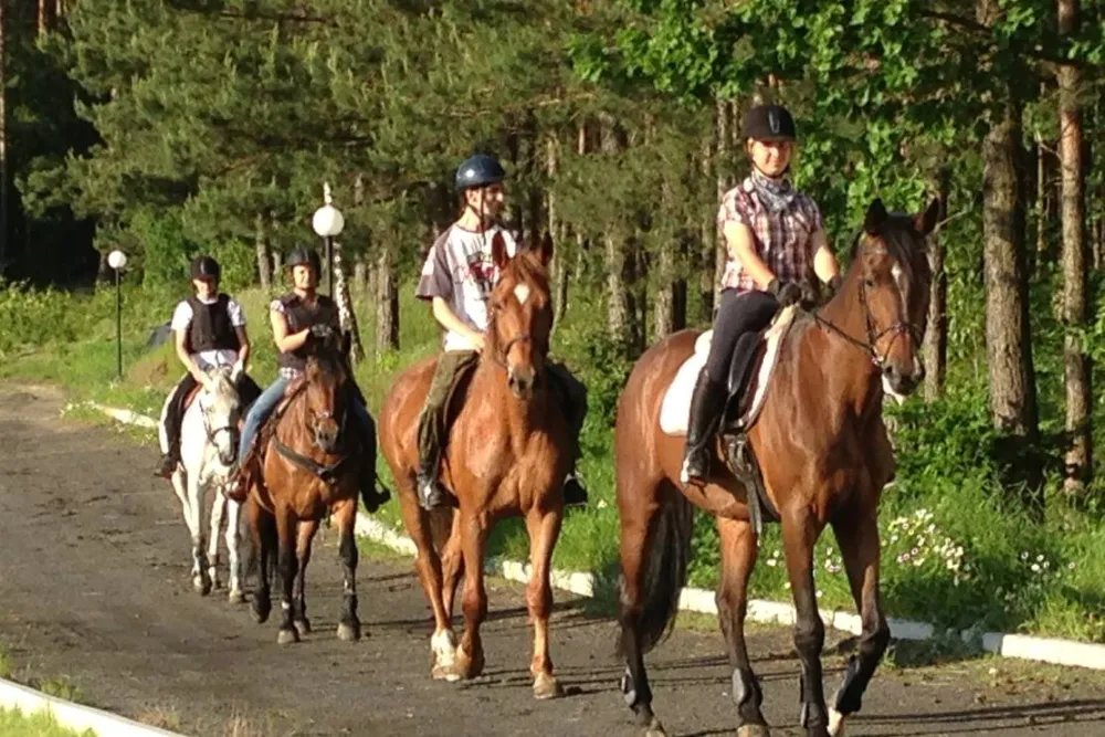 Ranchokimana & Camping