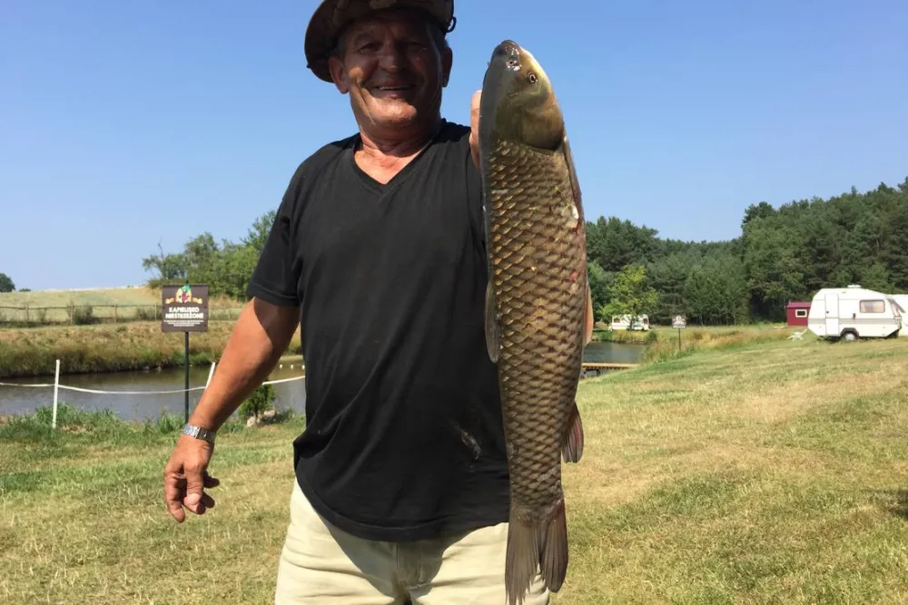 Ranchokimana & Camping