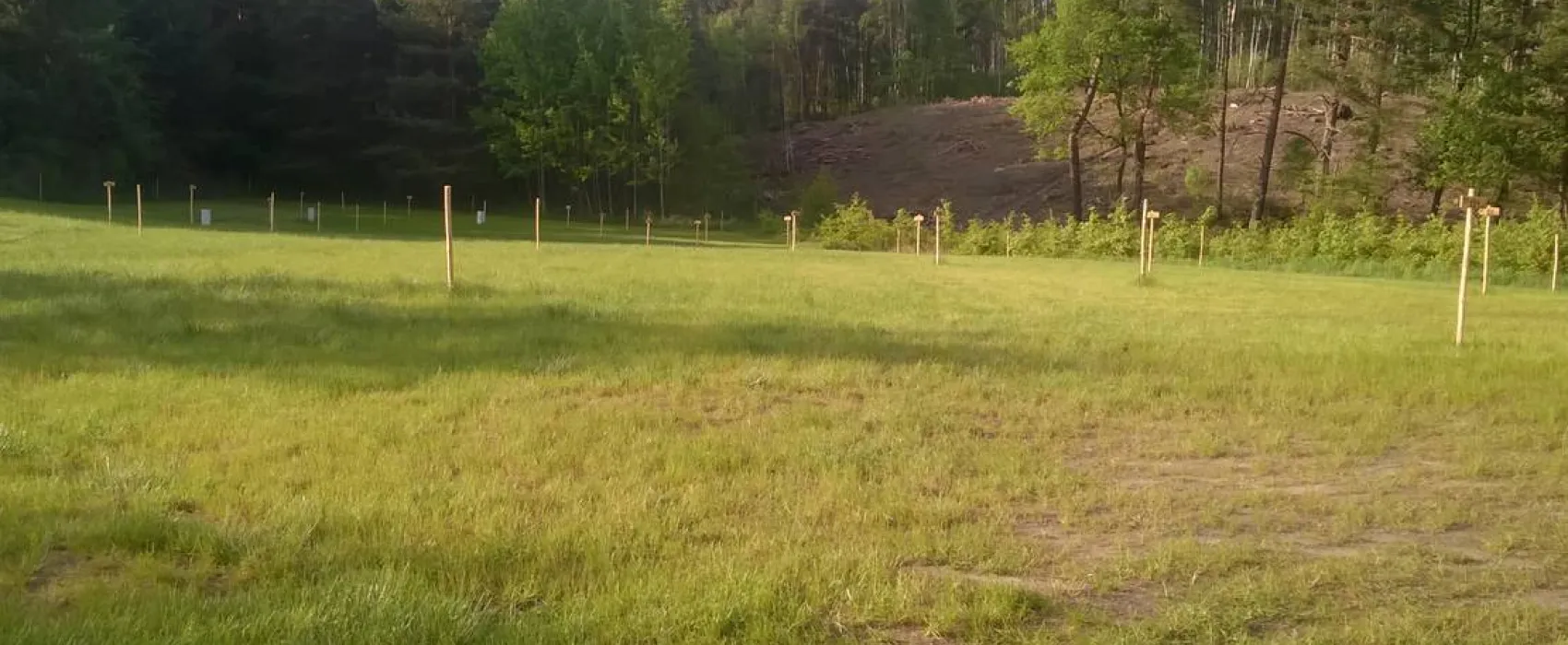 Ranchokimana & Camping