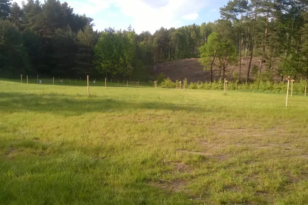 Ranchokimana & Camping