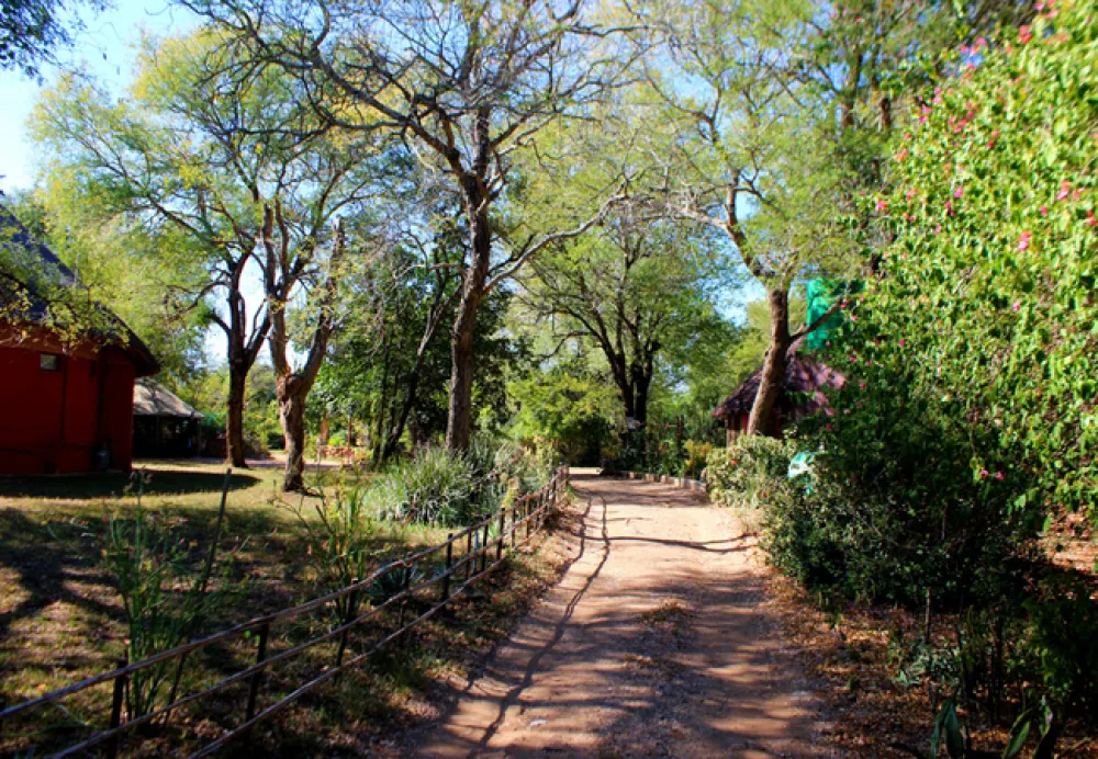 Amanzimlotzi Riverside Bush Camp