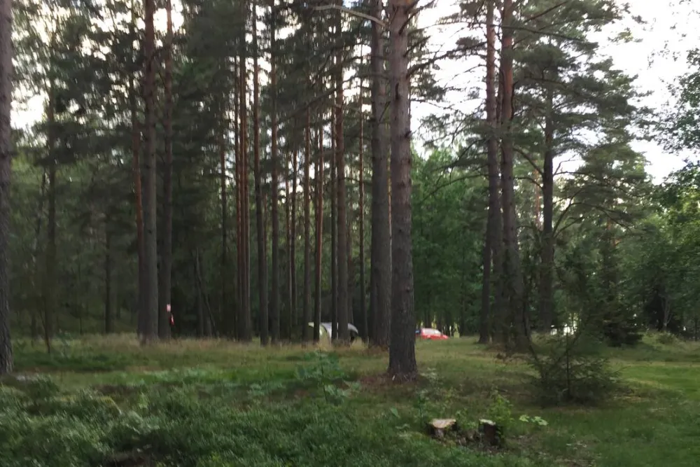Källbuktens Camping