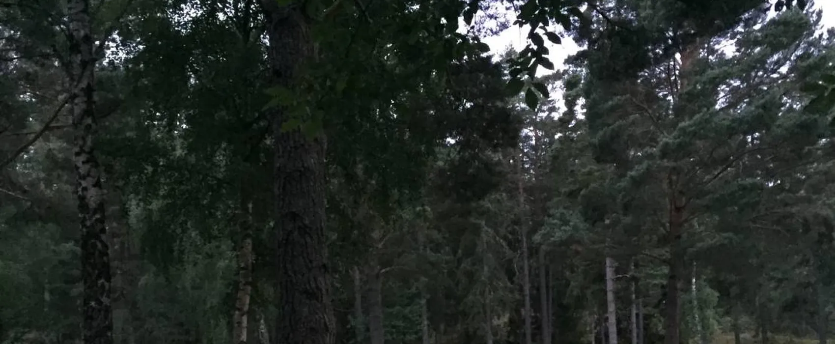 Källbuktens Camping