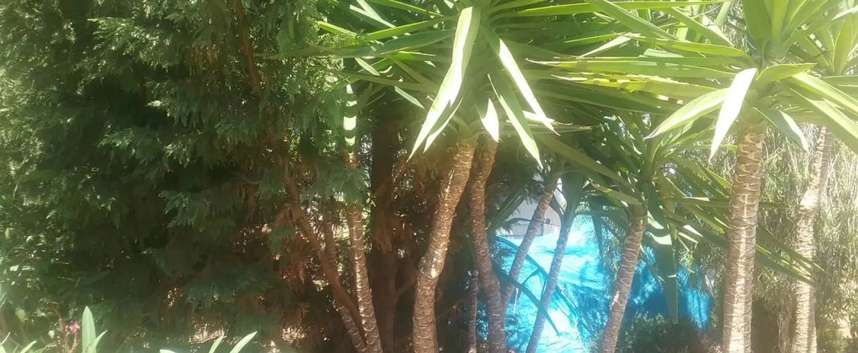 Camperpark Carvoeiro Lagoa