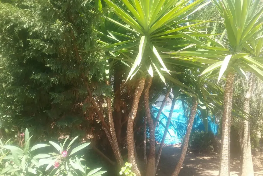 Camperpark Carvoeiro Lagoa