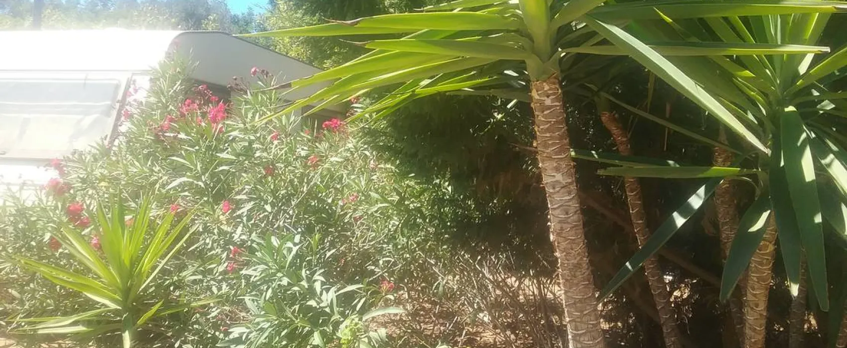 Camperpark Carvoeiro Lagoa