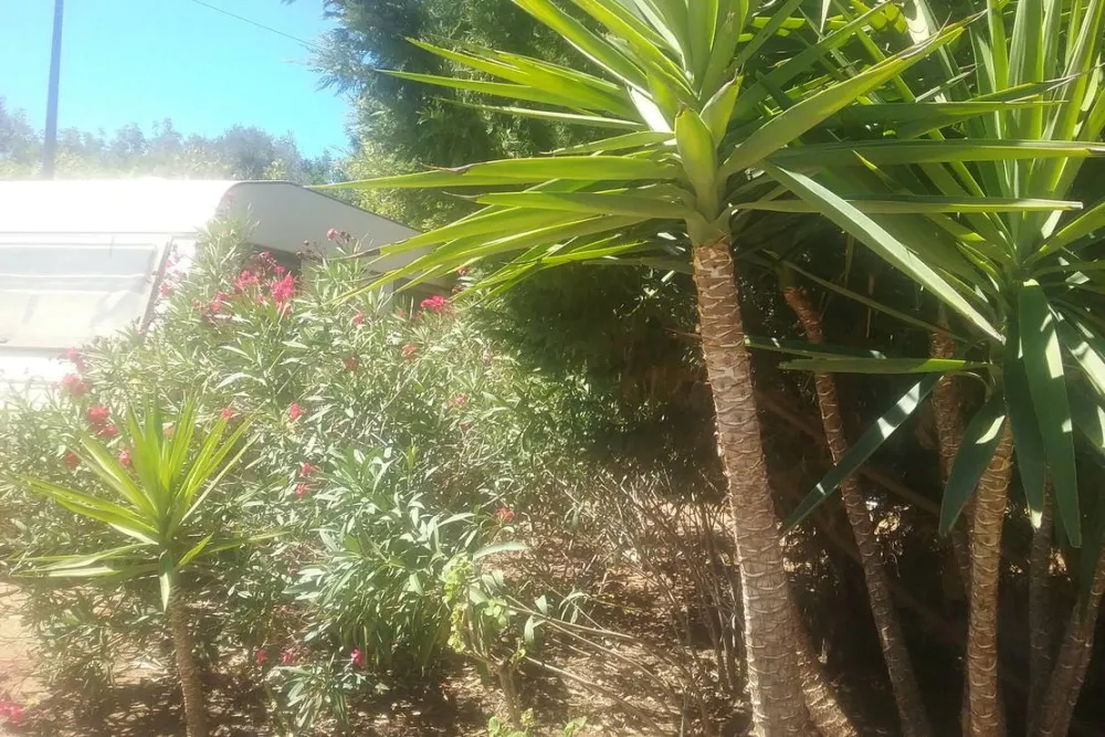 Camperpark Carvoeiro Lagoa