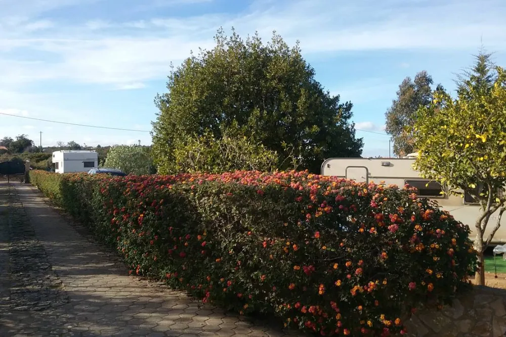 Camperpark Carvoeiro Lagoa