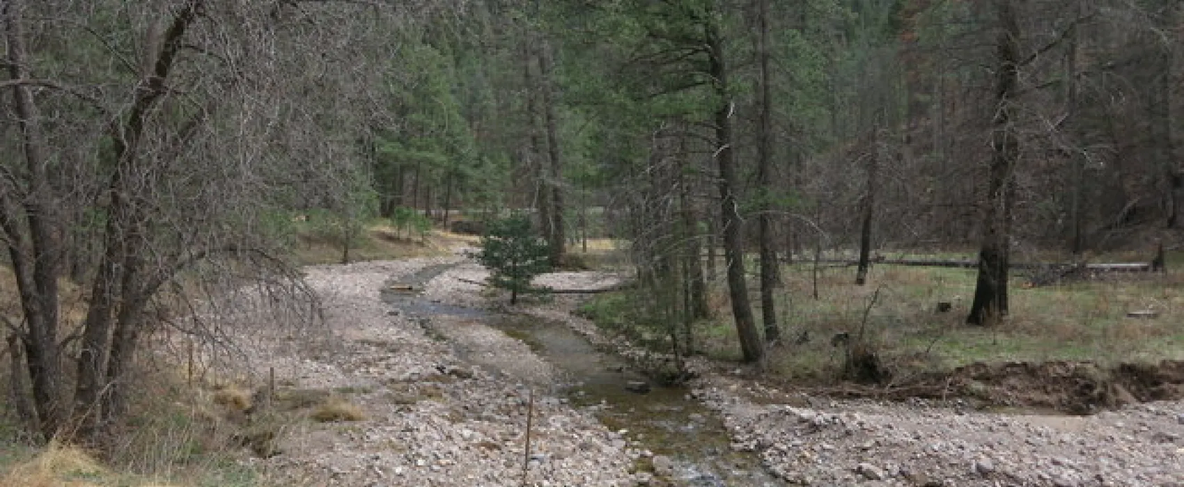 South Fork Eagle Creek