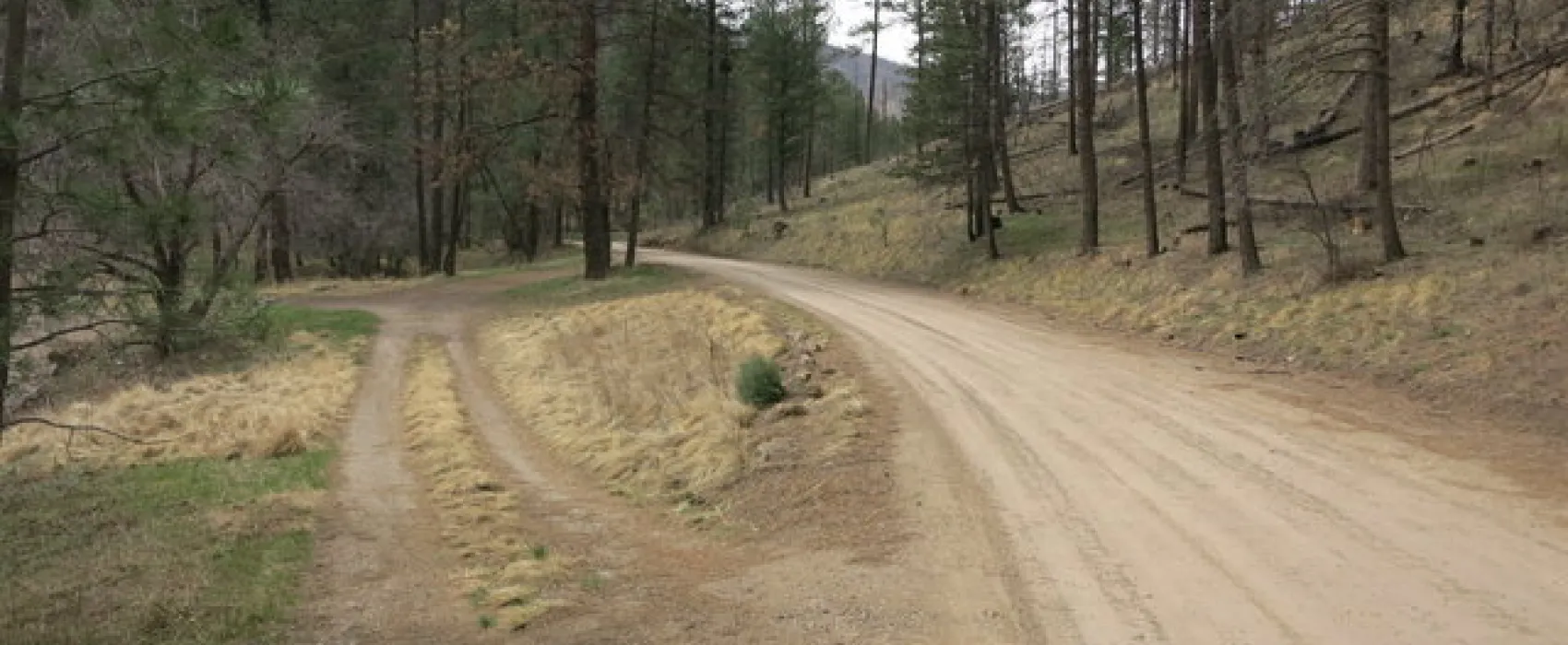 South Fork Eagle Creek