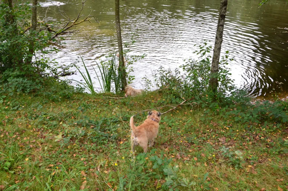 Hondencamping La Soupèze