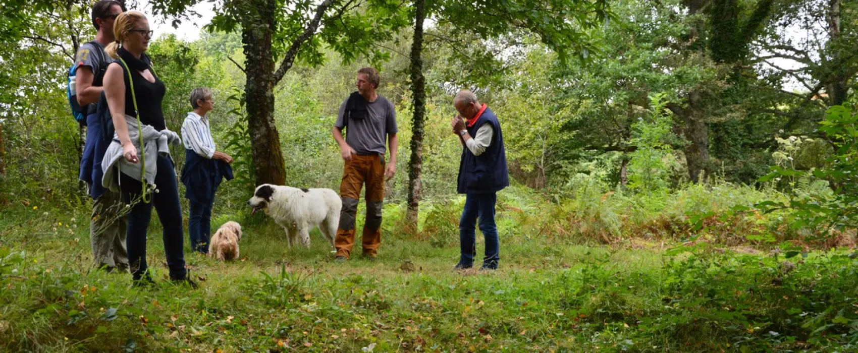 Hondencamping La Soupèze