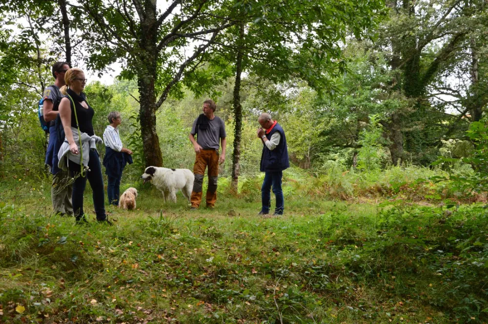Hondencamping La Soupèze