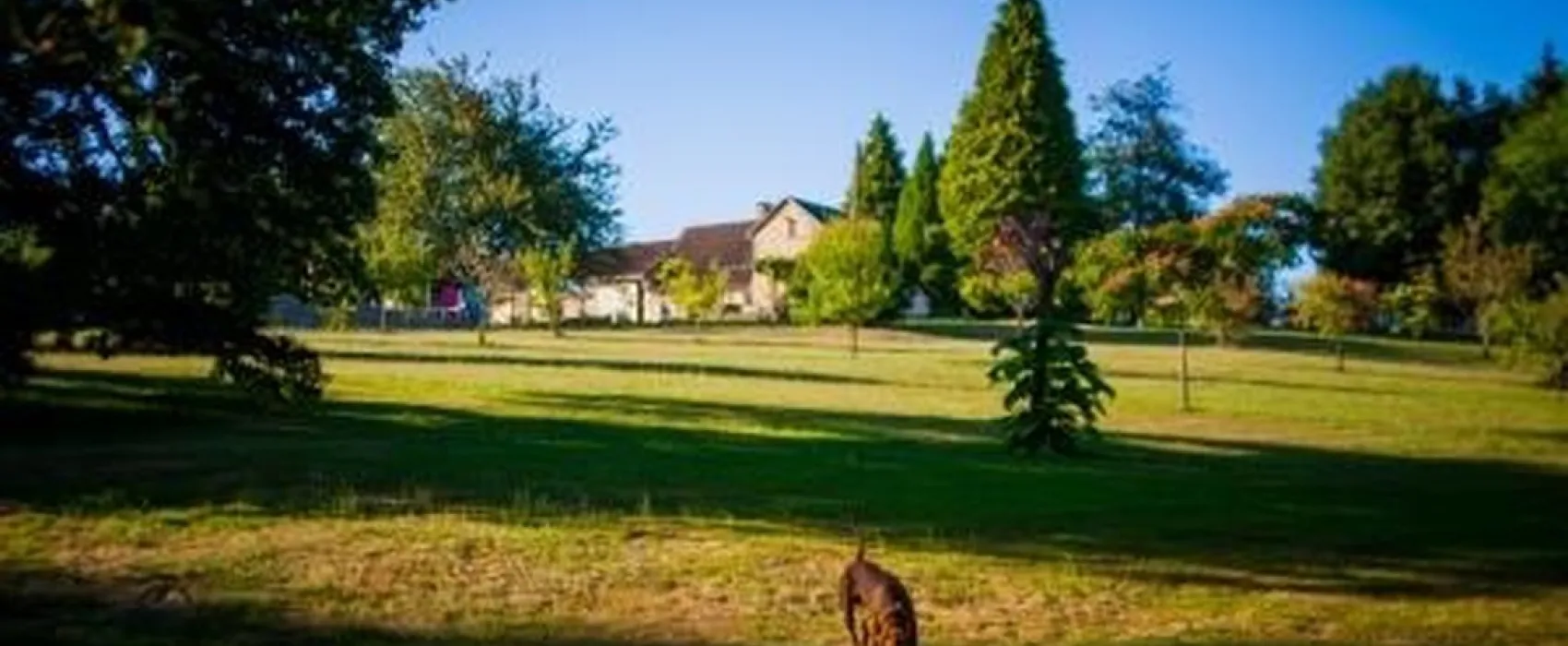 Hondencamping La Soupèze