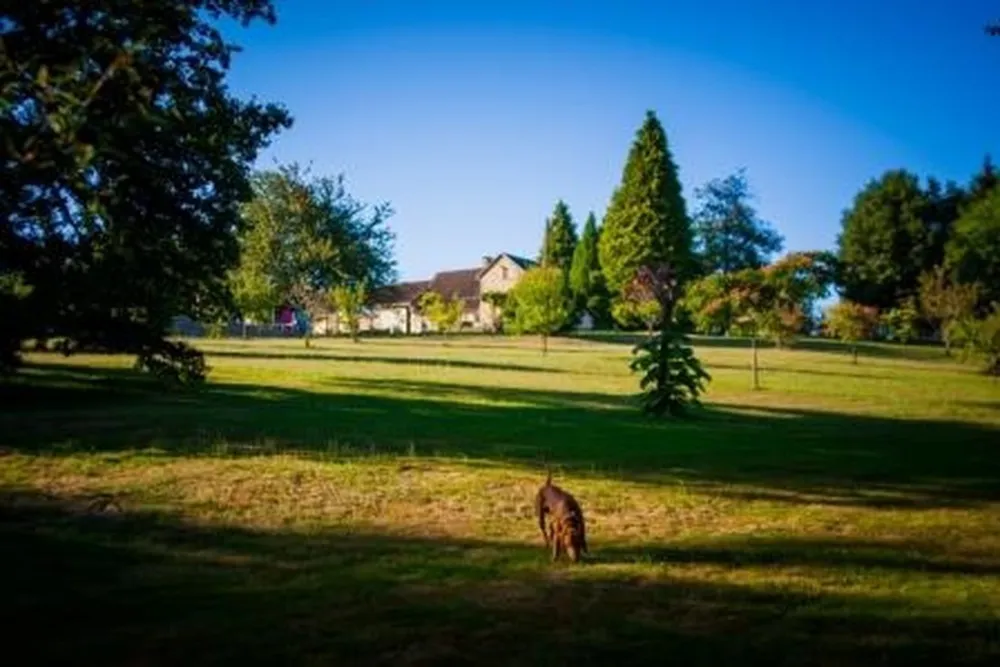 Hondencamping La Soupèze