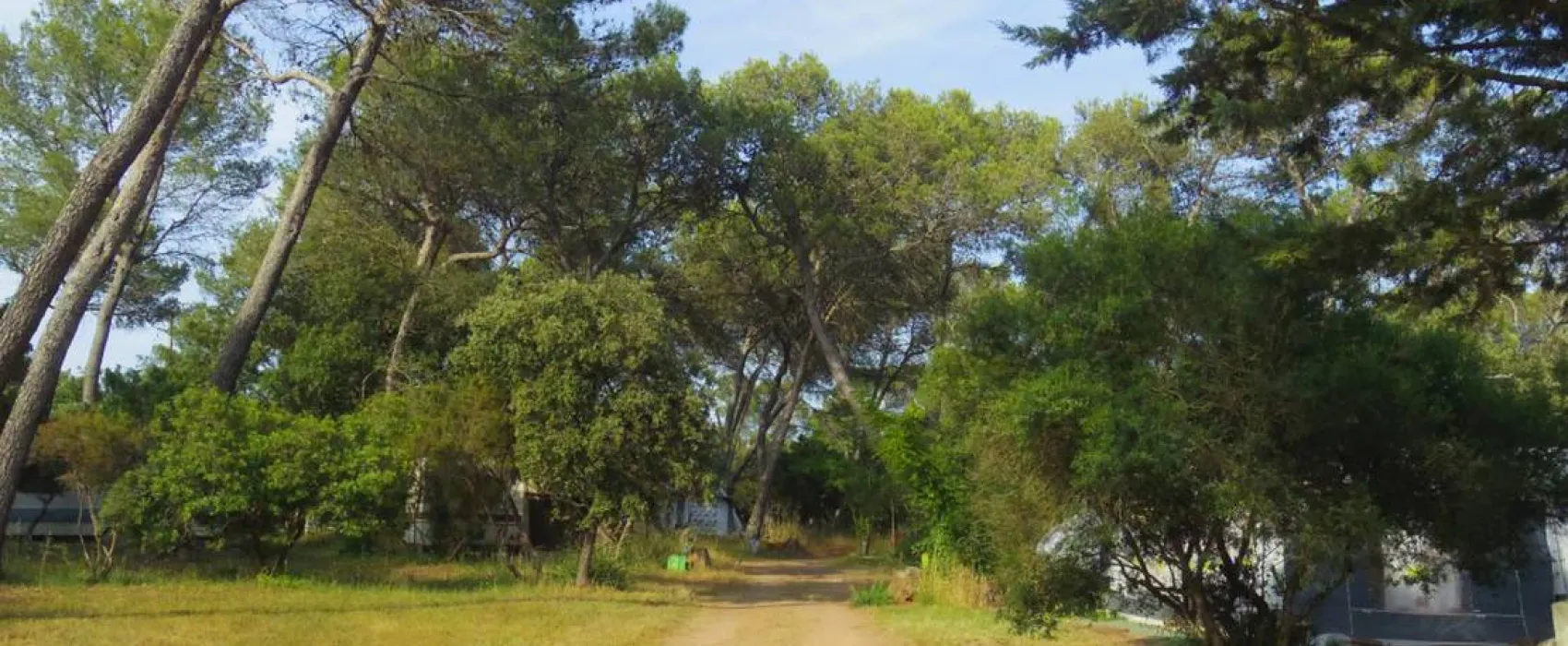 Camping Les Bruyeres