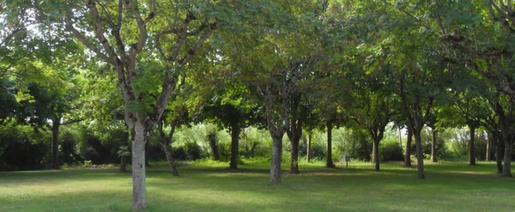 Camping Le Plan D'eau