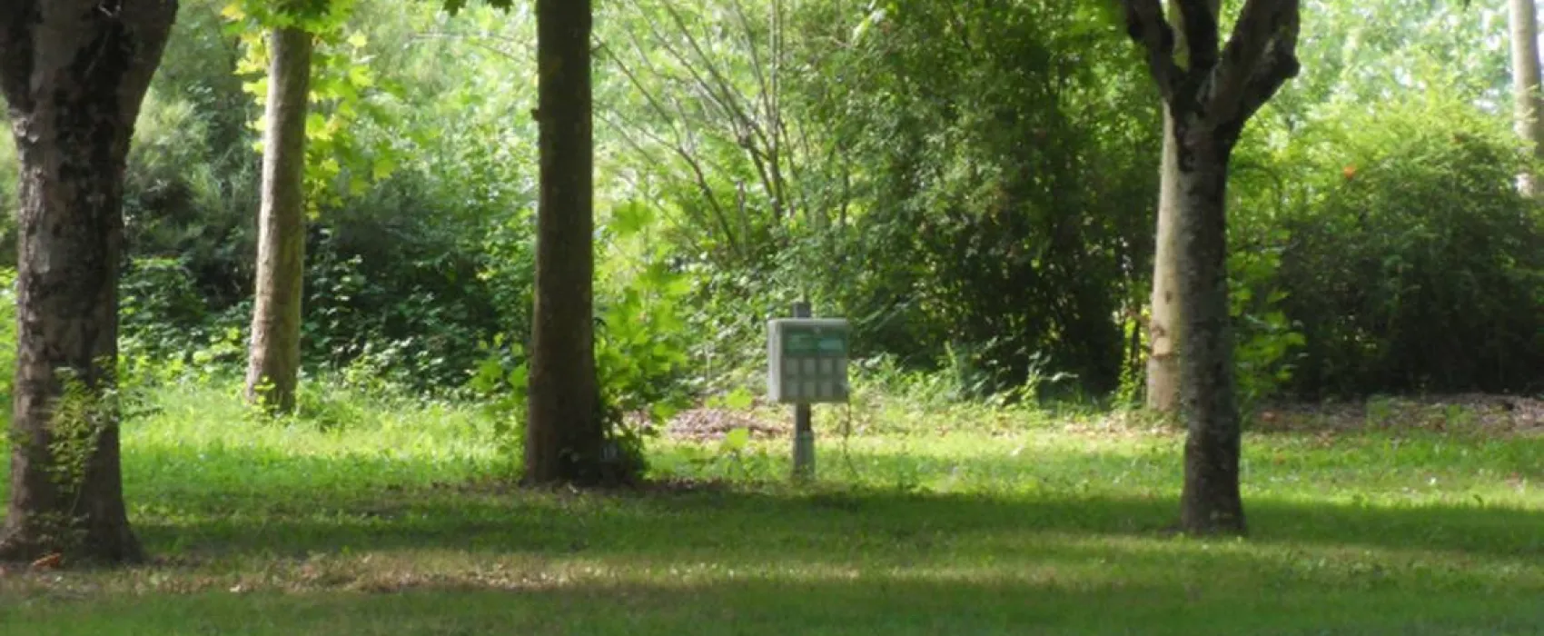 Camping Le Plan D'eau