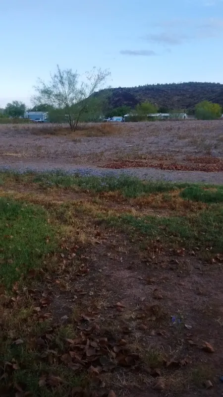 Desert Sands RV Park