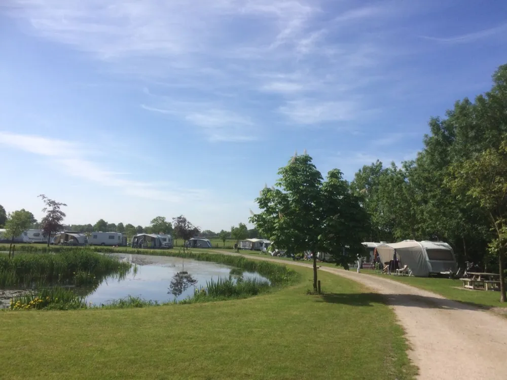 Minicamping 't Hofland