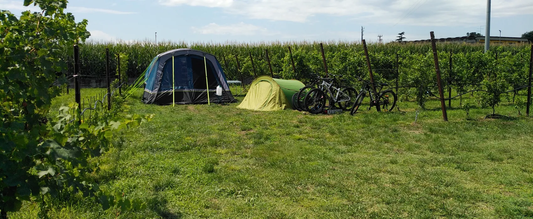 AGRICAMPEGGIO ORO VERDE