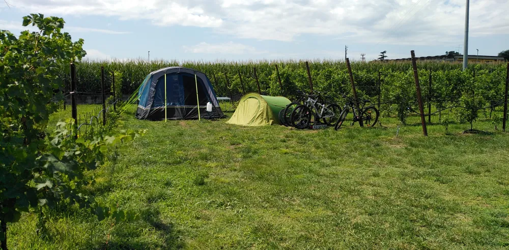 AGRICAMPEGGIO ORO VERDE