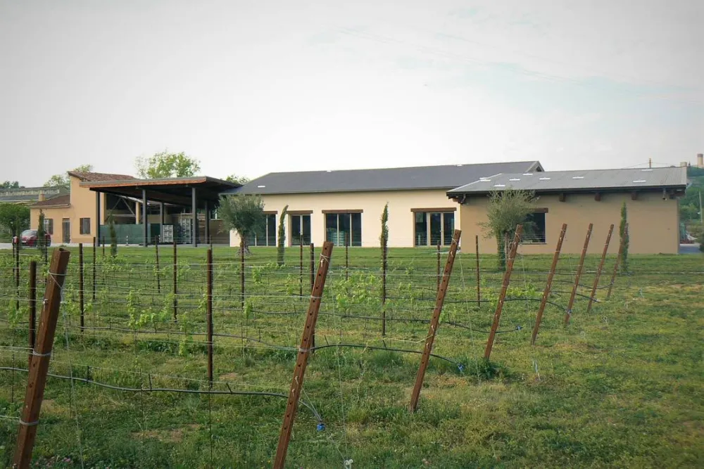 AGRICAMPEGGIO ORO VERDE