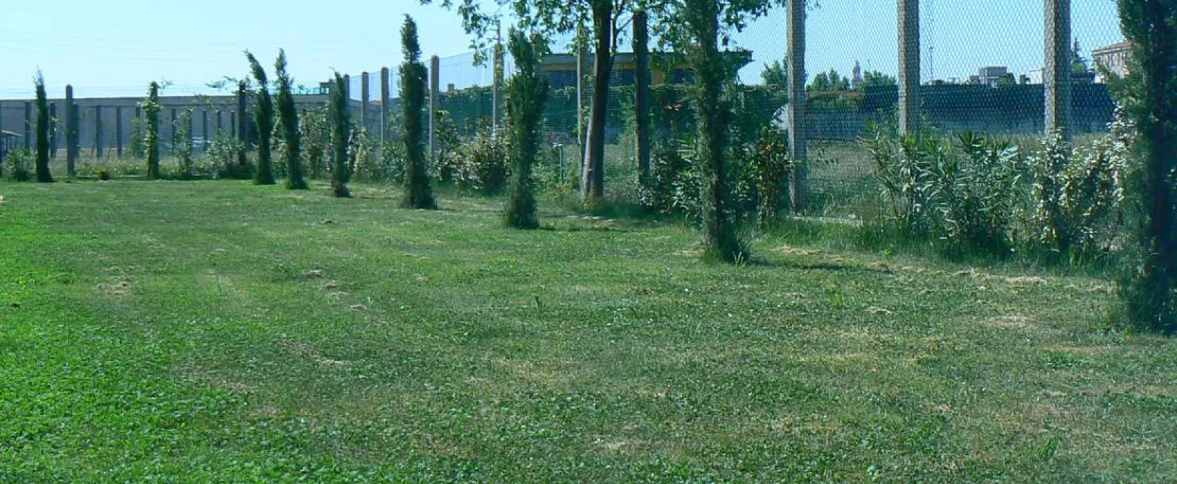 AGRICAMPEGGIO ORO VERDE