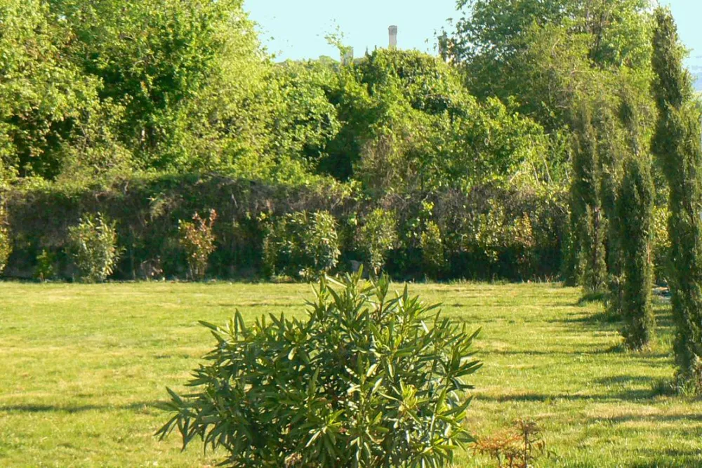 AGRICAMPEGGIO ORO VERDE