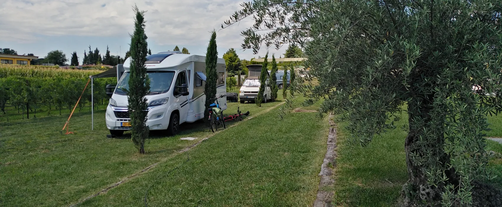 AGRICAMPEGGIO ORO VERDE