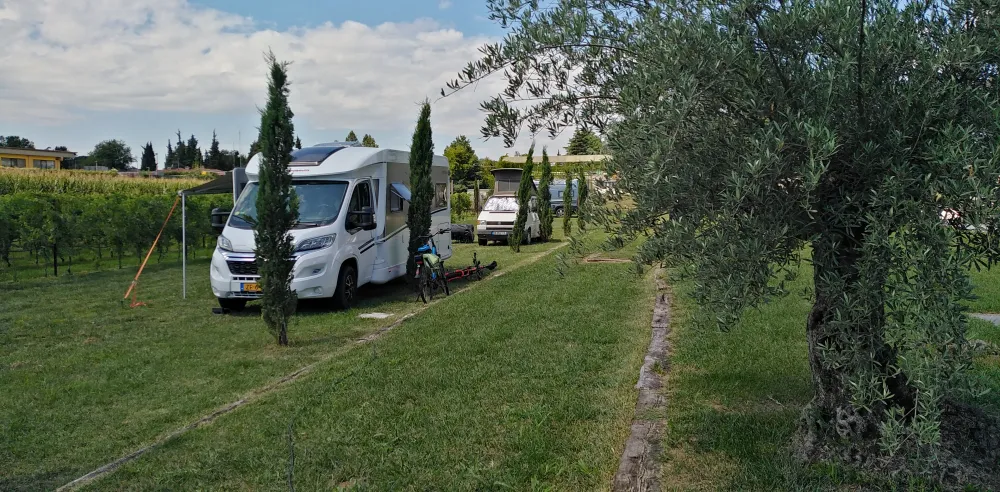 AGRICAMPEGGIO ORO VERDE