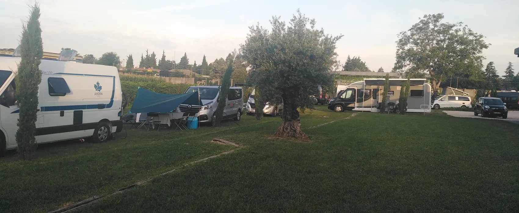 AGRICAMPEGGIO ORO VERDE